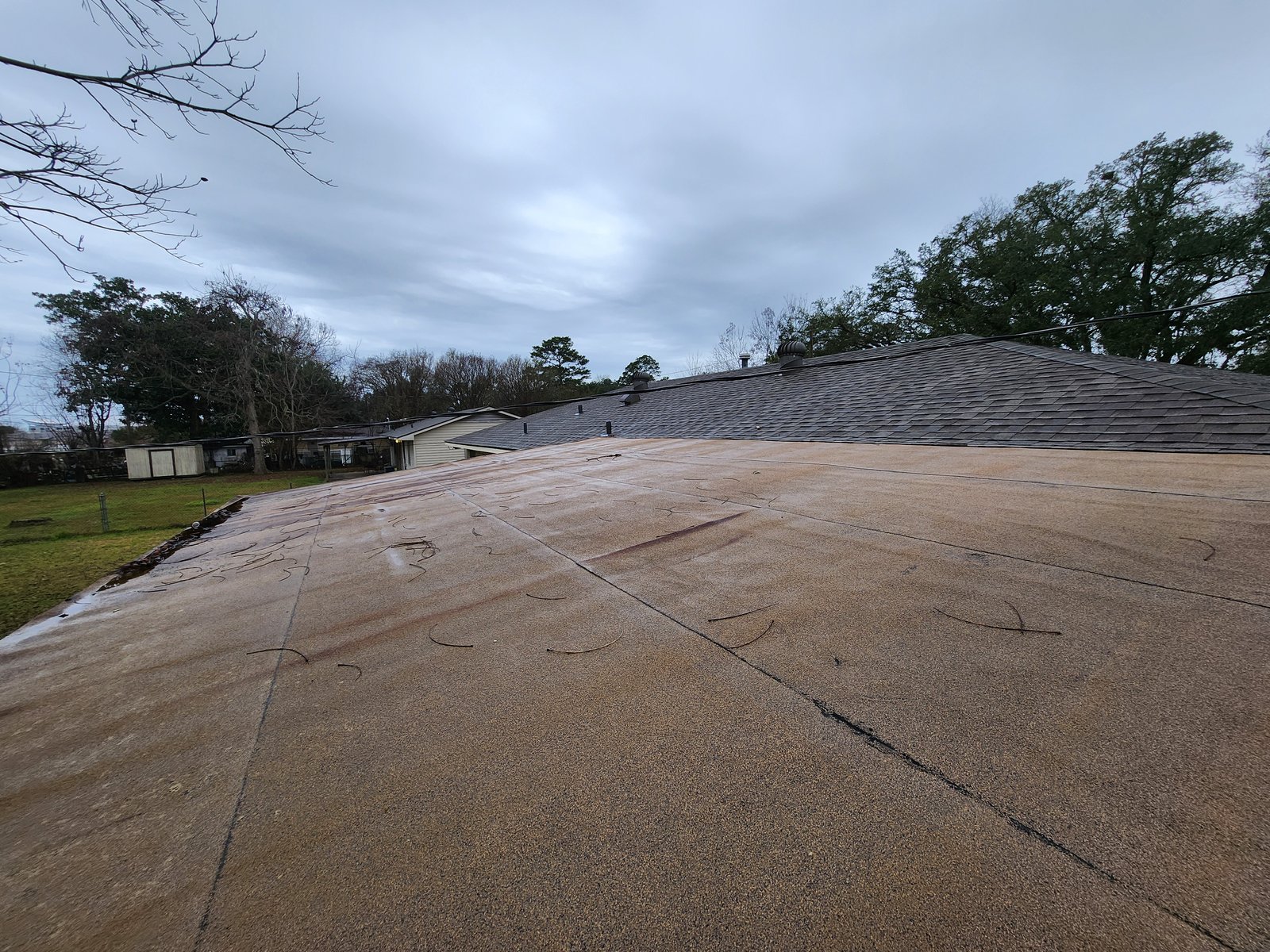Low-slope roof after soft wash, clean