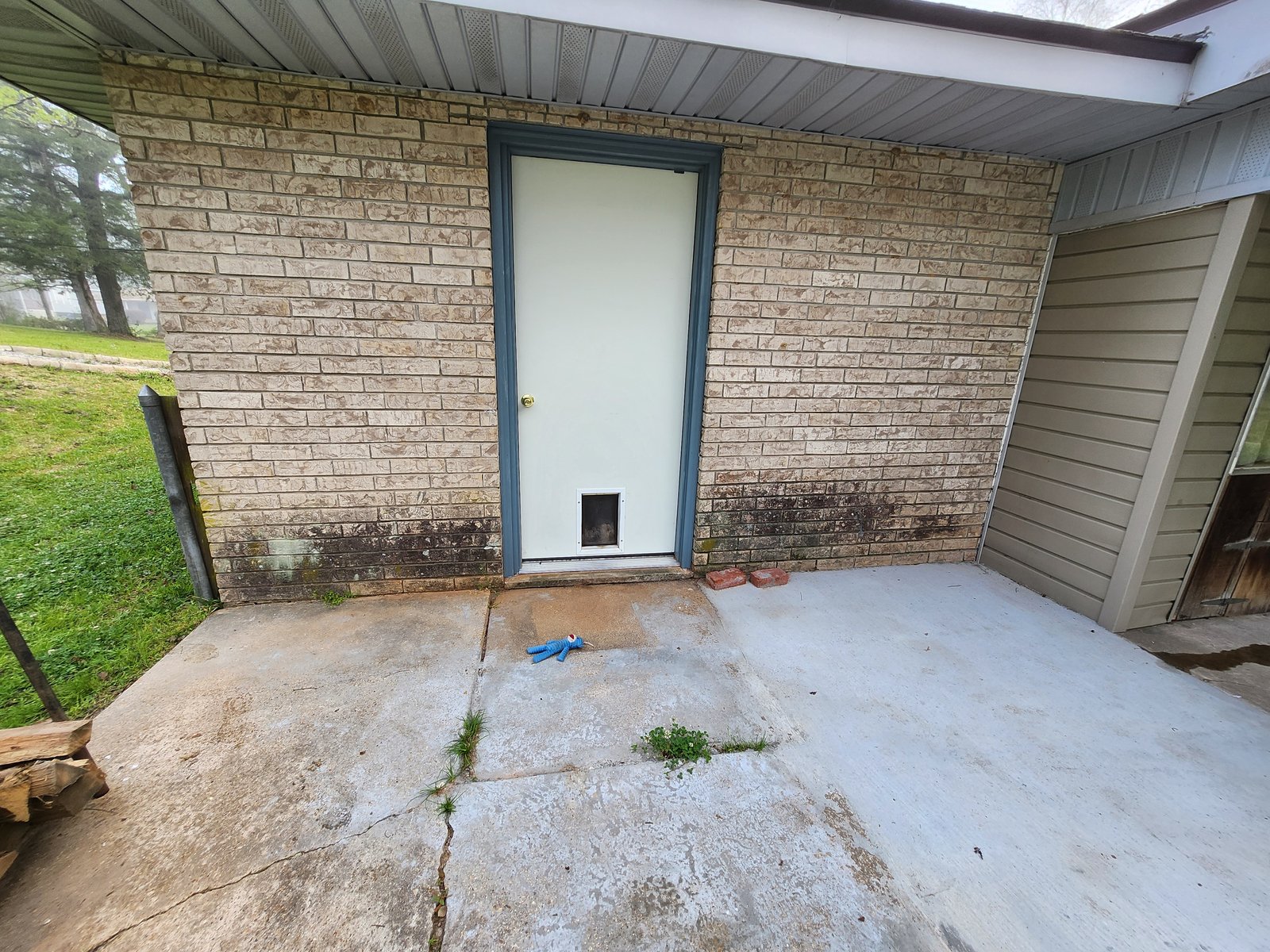Back entry of brick home with heavy mold at base