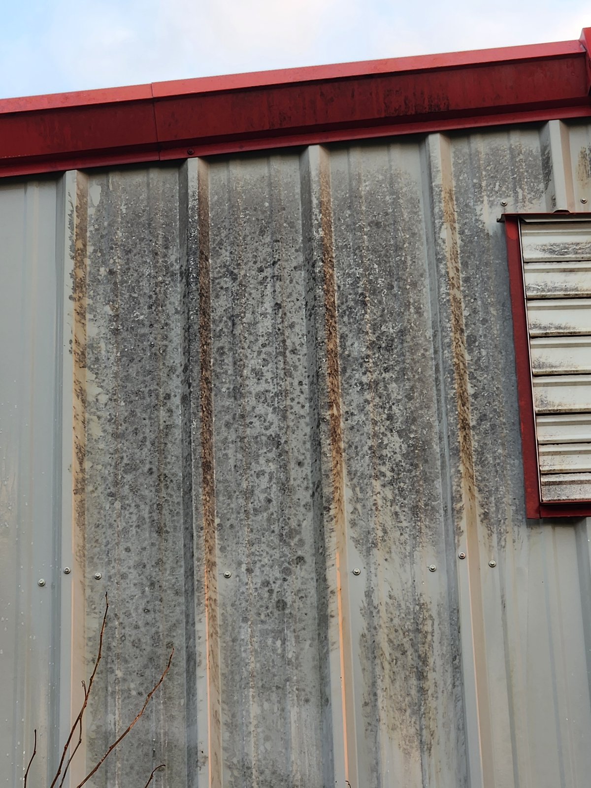 Metal panel close-up with oxidation and algae